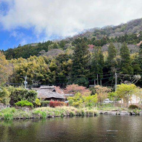秋といえば・・